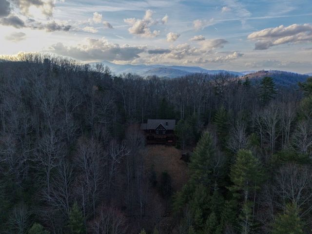 269 Little Creek Drive, Cherry Log, GA 30522