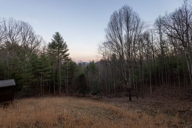 269 Little Creek Drive, Cherry Log, GA 30522