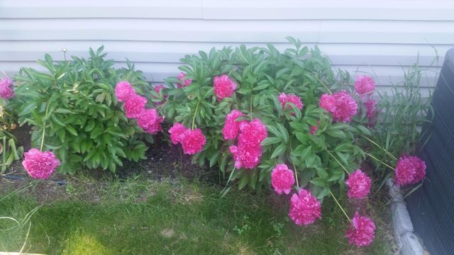 4745 Narvik Drive, Eagan, MN 55122