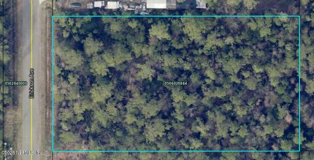 10310 ERICKSON Avenue, Hastings, FL 32145