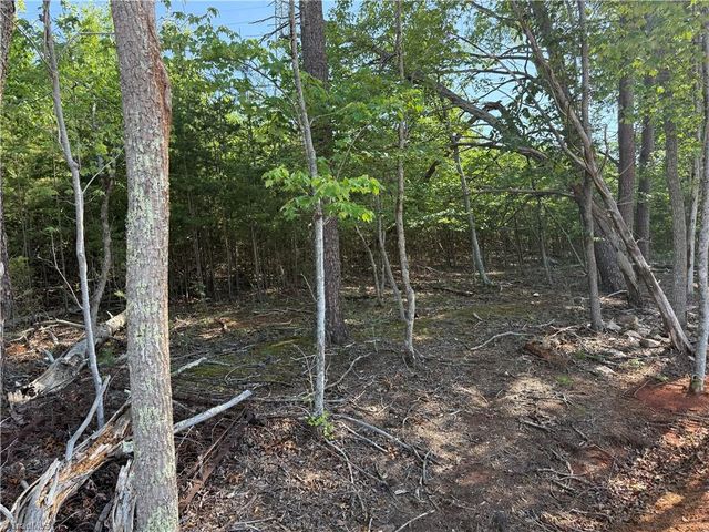 0-0-0 White Road, King, NC 27021