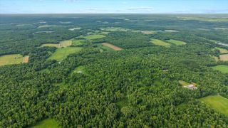 2270 300th Avenue, Peace Twp, MN 55051