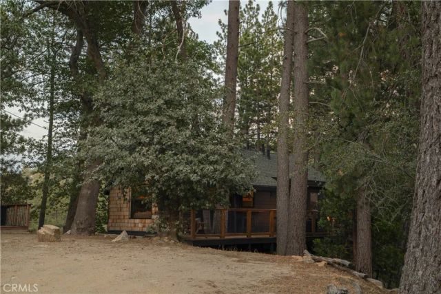 29535 Torrey Road, Cedar Glen, CA 92321