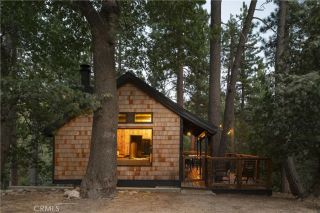 29535 Torrey Road, Cedar Glen, CA 92321