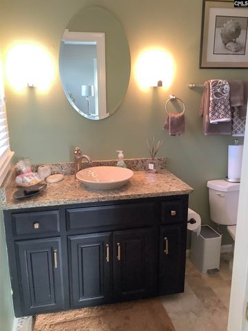 849 Island Point Lane, Chapin, SC 29036