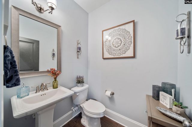 304 Lightning Bug Lane, Lexington, SC 29072