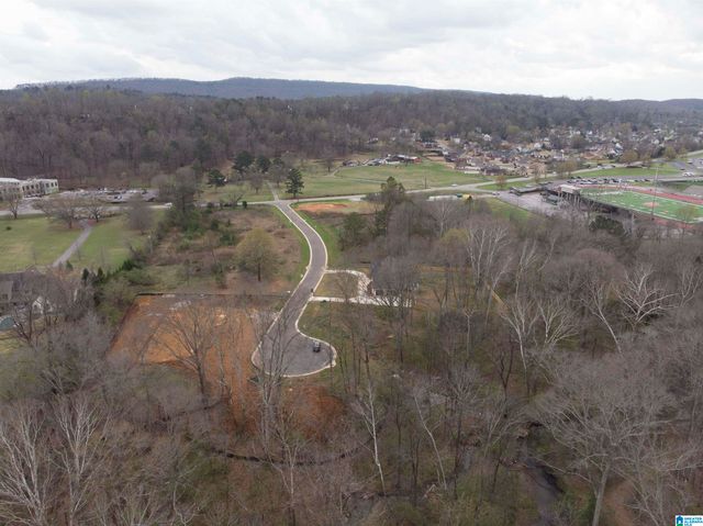 121 BISHOP CREEK LANE, Birmingham, AL 35242