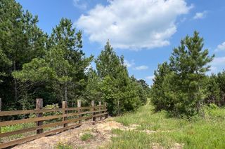 Tract 5 Sh 249, Navasota, TX 77868