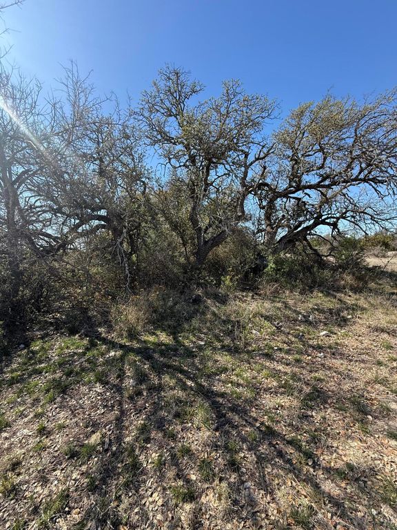 Image 14 of property listing at 713 Persimmon Road, Eldorado, TX 76936