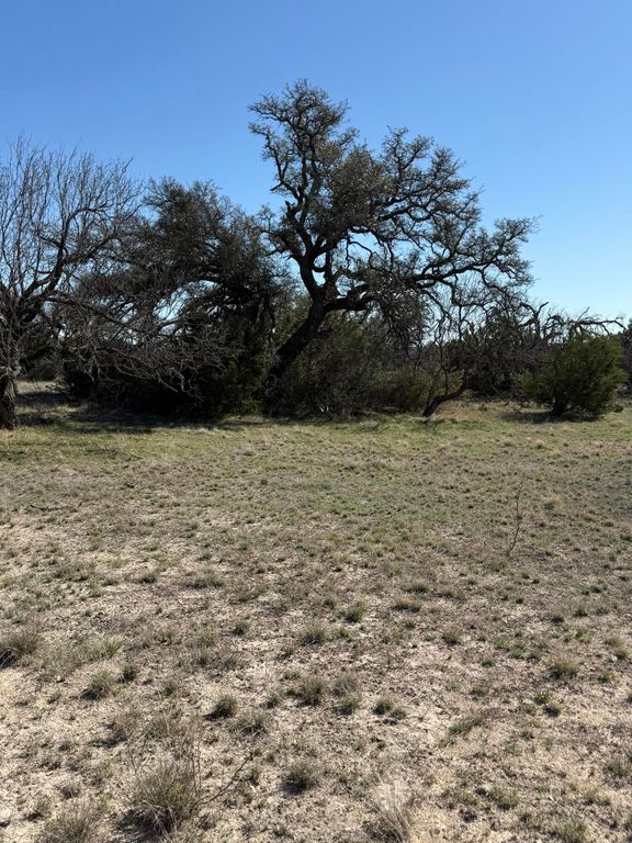 Image 15 of property listing at 713 Persimmon Road, Eldorado, TX 76936