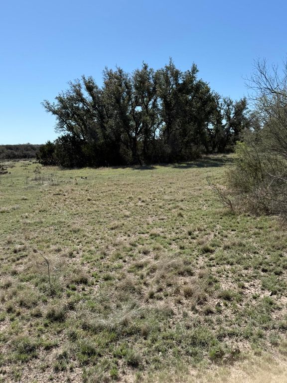 Image 3 of property listing at 713 Persimmon Road, Eldorado, TX 76936
