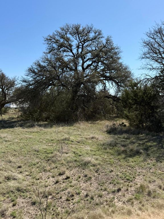 Image 4 of property listing at 713 Persimmon Road, Eldorado, TX 76936
