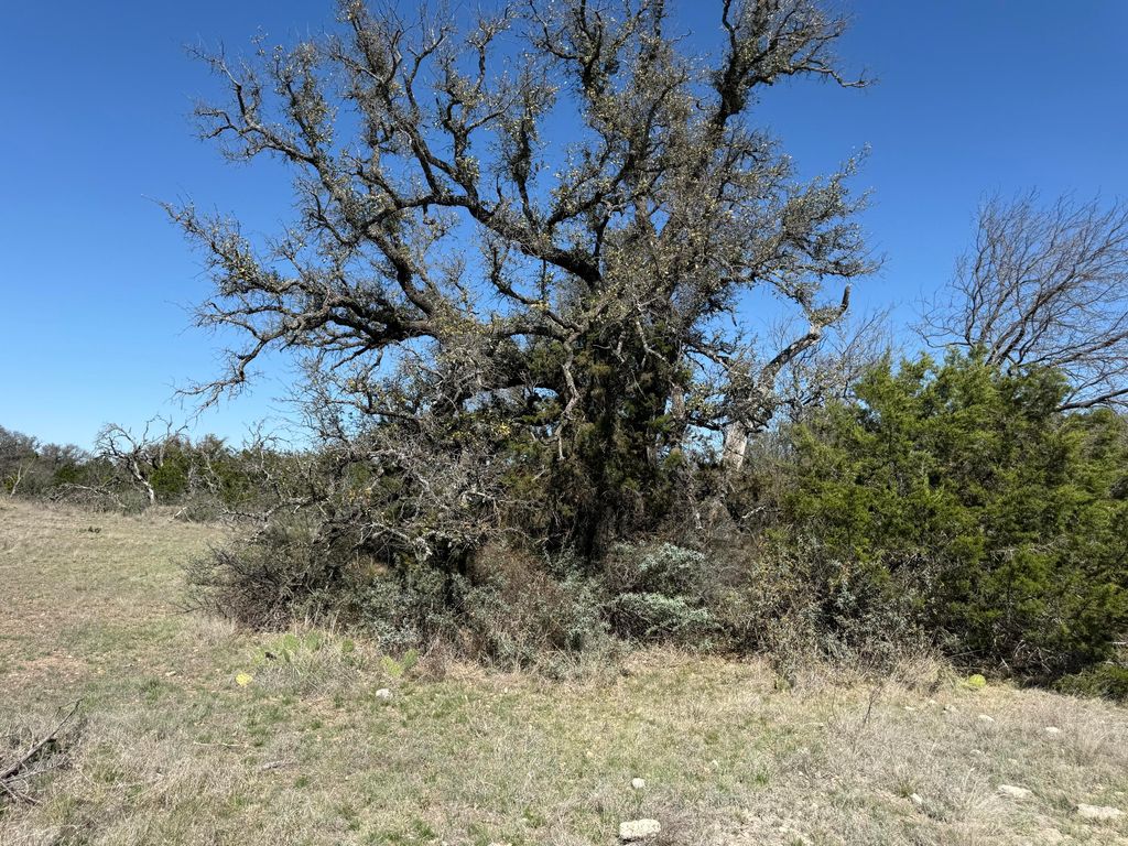 Image 8 of property listing at 713 Persimmon Road, Eldorado, TX 76936