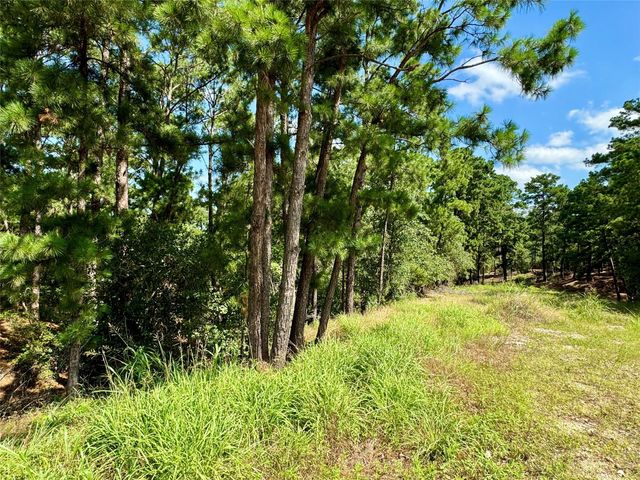 112, 114, 118 Kaimuki CT, Bastrop, TX 78602
