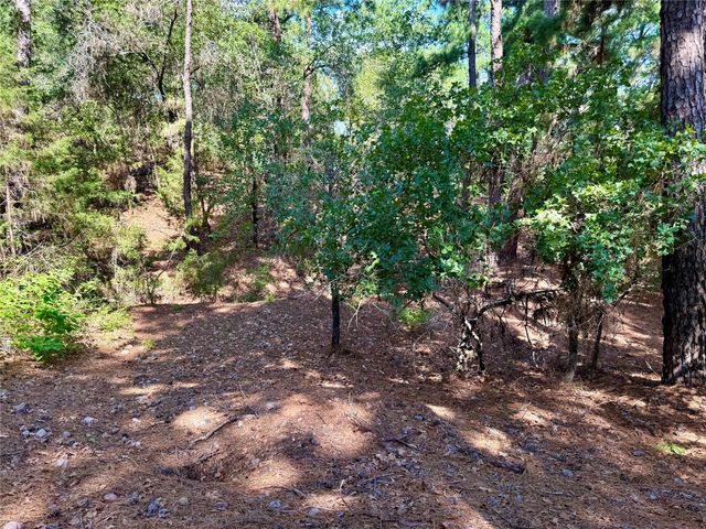 112, 114, 118 Kaimuki CT, Bastrop, TX 78602