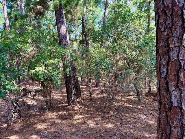 112, 114, 118 Kaimuki CT, Bastrop, TX 78602