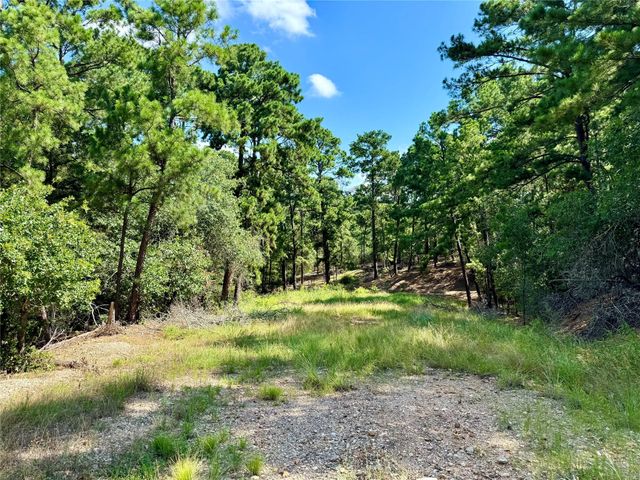 112, 114, 118 Kaimuki CT, Bastrop, TX 78602