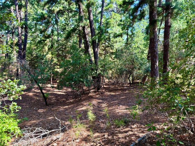 112, 114, 118 Kaimuki CT, Bastrop, TX 78602