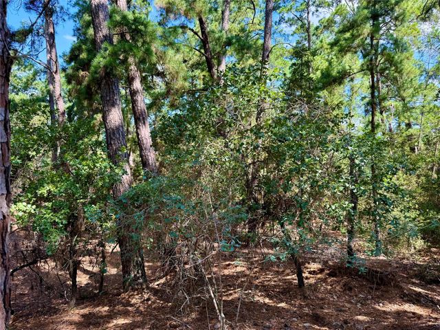 112, 114, 118 Kaimuki CT, Bastrop, TX 78602
