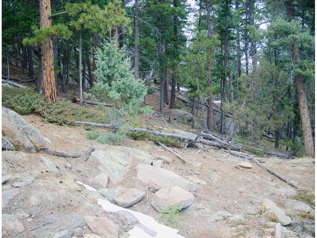 22076 High Springs Trl, Morrison, CO 80465