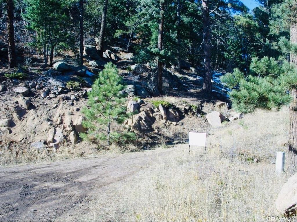 22076 High Springs Trl, Morrison, CO 80465