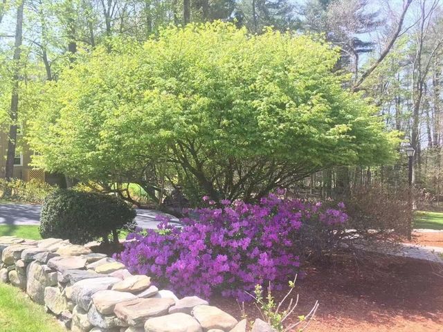 12 Joseph Reed Ln, Acton, MA 01720