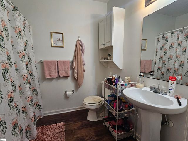 102 Universtiy Village Drive, Central, SC 29630