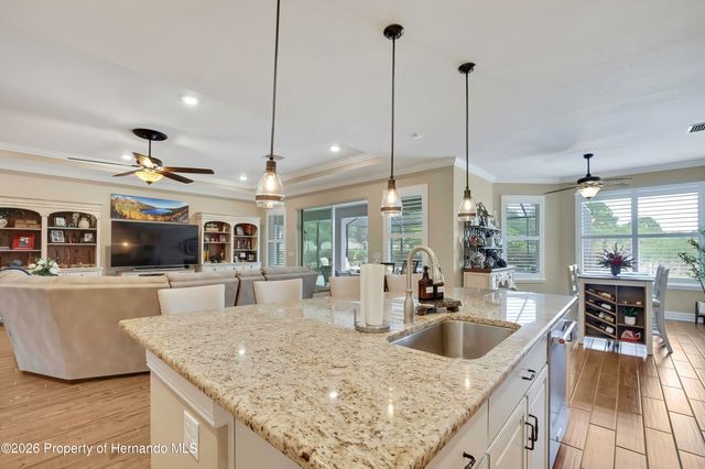 19771 Tattnall Way, Brooksville, FL 34601