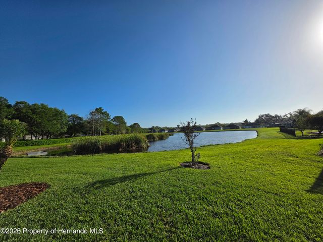 19771 Tattnall Way, Brooksville, FL 34601