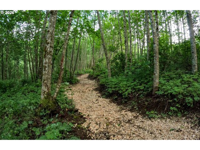 182 White Dog Rd, Washougal, WA 98671