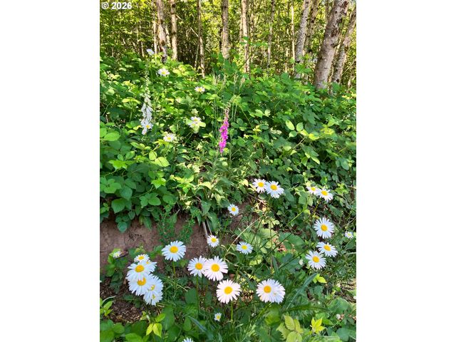 182 White Dog Rd, Washougal, WA 98671