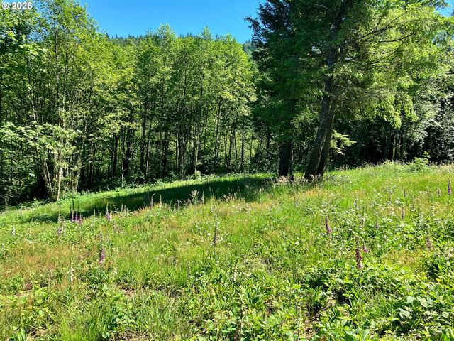 182 White Dog Rd, Washougal, WA 98671