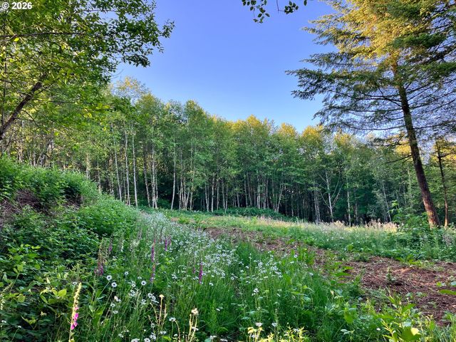 182 White Dog Rd, Washougal, WA 98671