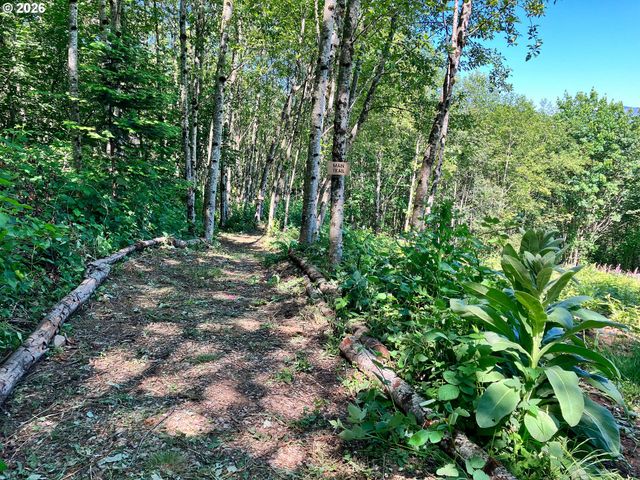 182 White Dog Rd, Washougal, WA 98671