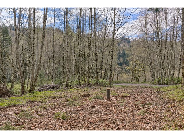 182 White Dog Rd, Washougal, WA 98671