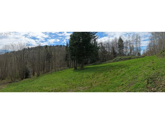 182 White Dog Rd, Washougal, WA 98671