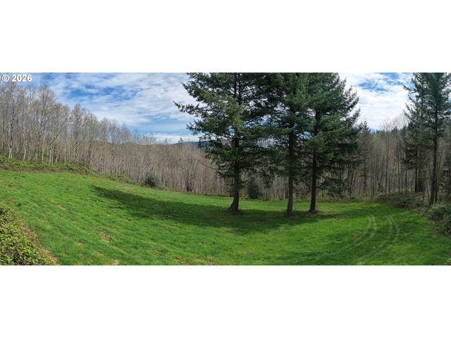 182 White Dog Rd, Washougal, WA 98671