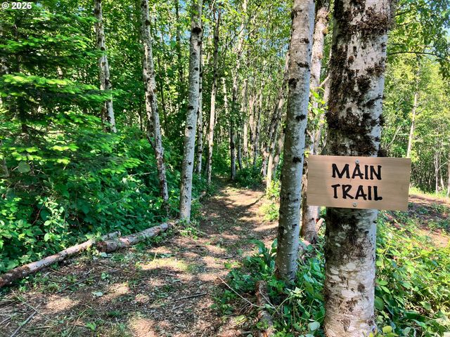 182 White Dog Rd, Washougal, WA 98671