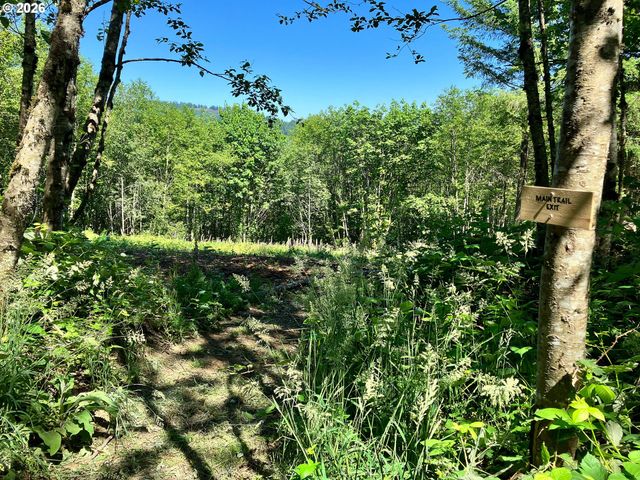 182 White Dog Rd, Washougal, WA 98671