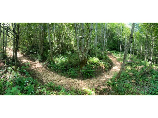 182 White Dog Rd, Washougal, WA 98671