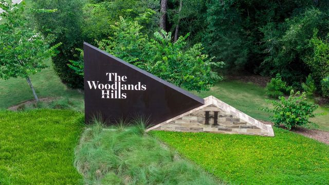 249 Silver Appleyard Pass, Willis, TX 77318