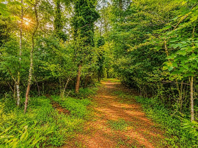 7E Lake Nottely Drive, Blairsville, GA 30512
