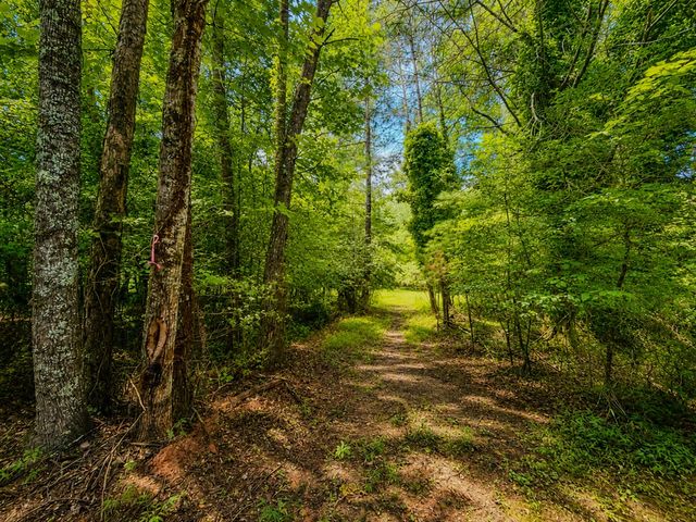 7E Lake Nottely Drive, Blairsville, GA 30512