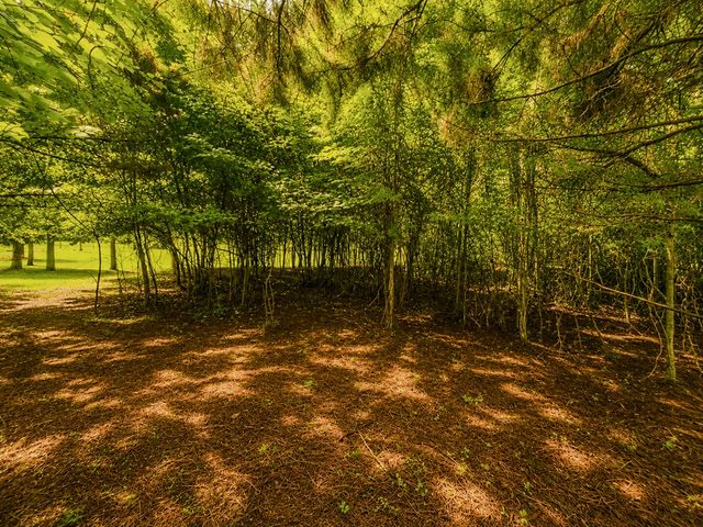 7E Lake Nottely Drive, Blairsville, GA 30512