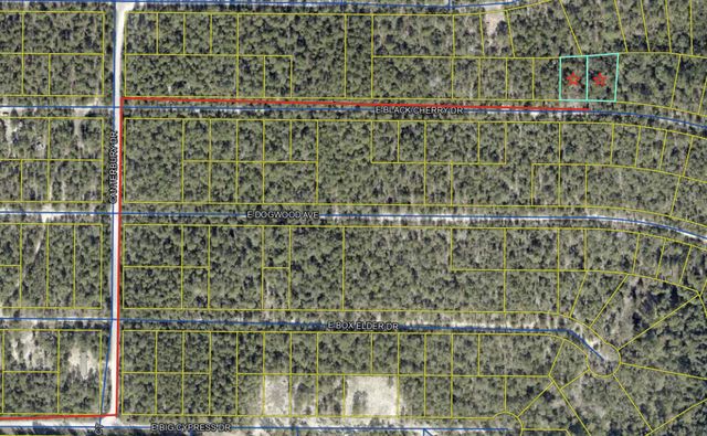 lot 28-29 E Black Cherry Drive, Defuniak Springs, FL 32433