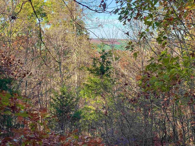 20 Eagle Ridge Dr., Greers Ferry, AR 72067
