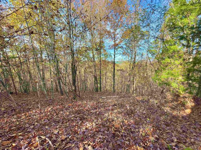 20 Eagle Ridge Dr., Greers Ferry, AR 72067