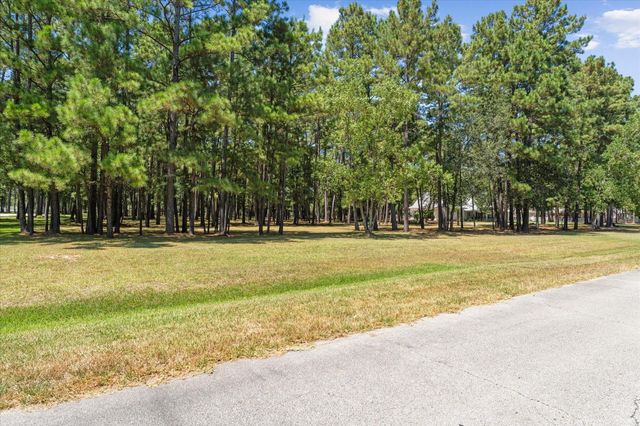 28712 Beth Marie, Magnolia, TX 77355