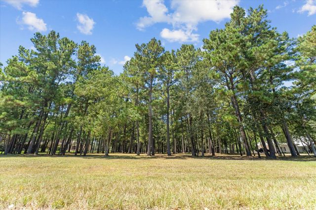 28712 Beth Marie, Magnolia, TX 77355