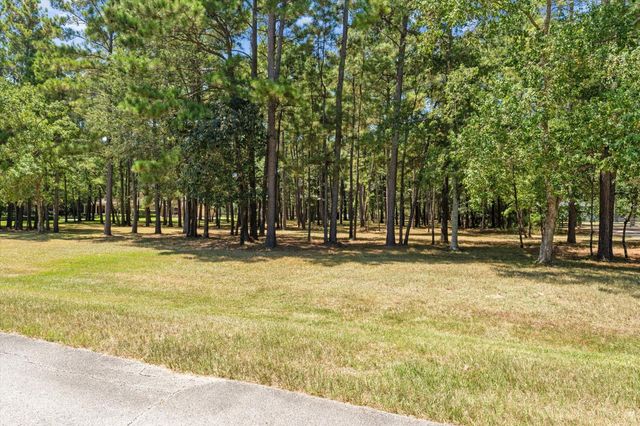 28712 Beth Marie, Magnolia, TX 77355